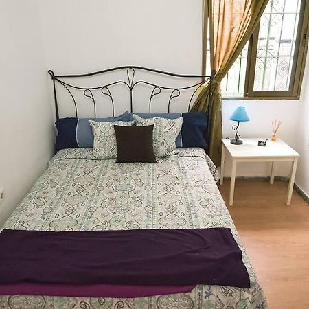 The Oasis One Spacious Apartment In Sevilla Exterior photo